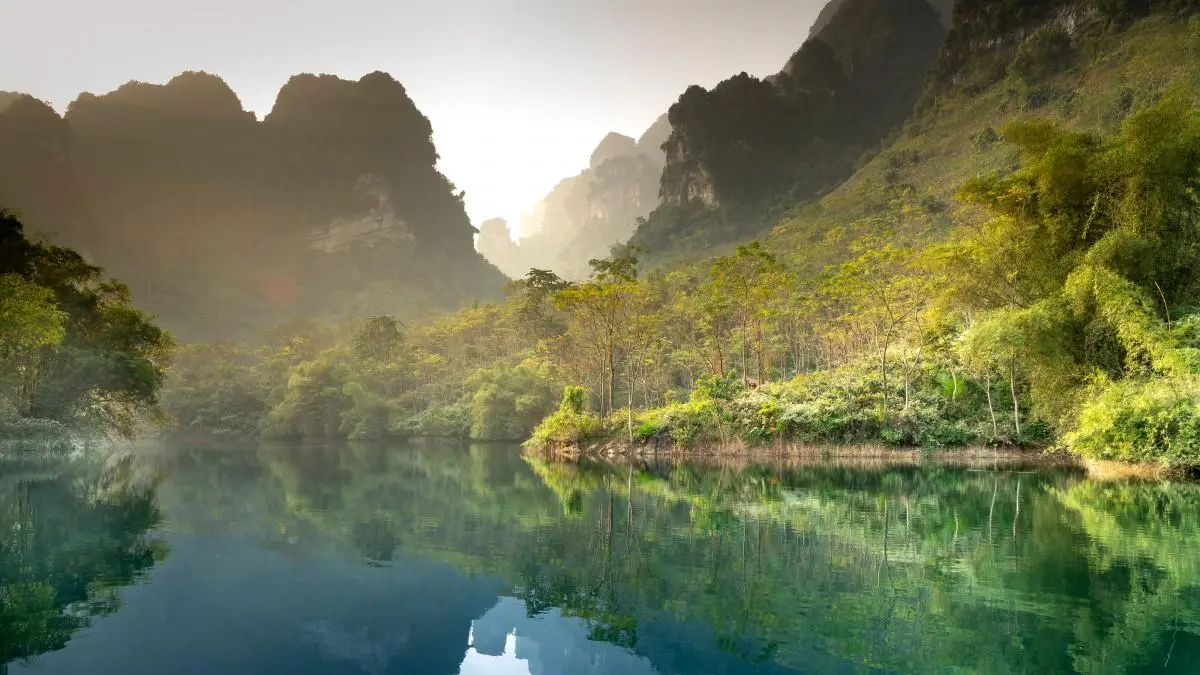 绿色高质量绿色